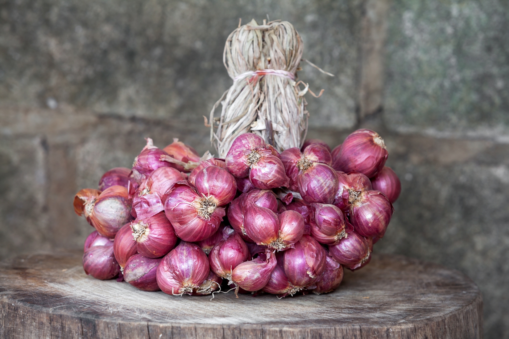 Luk kozjak - napravivrt.hr