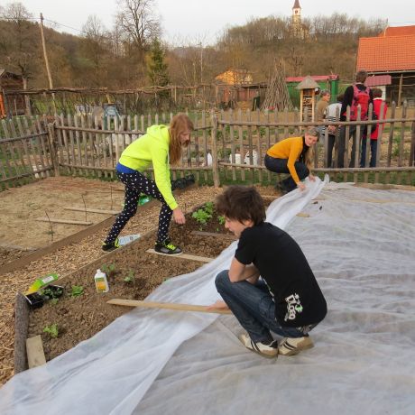 Aškerčevi prekrivajo gredice svojega vrta.