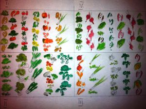 Skica Gainega ekološkega vrta