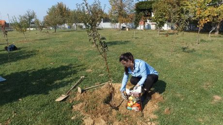 Kod sadnje mlade voćke obavezno upotrijebite Plantella Organik